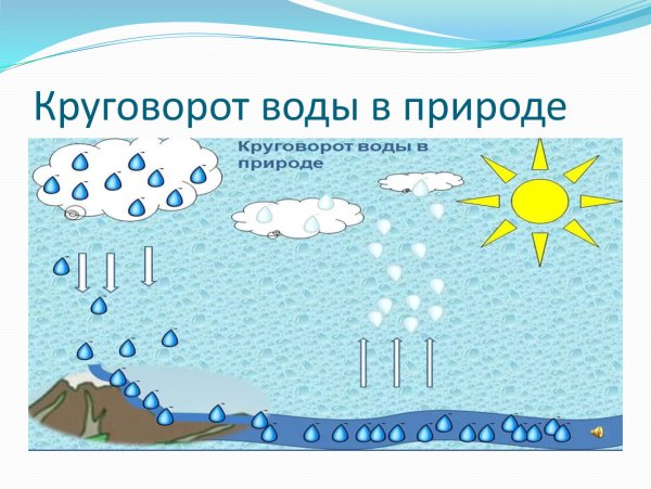 Круговорот воды в природе 5 класс Естествознание