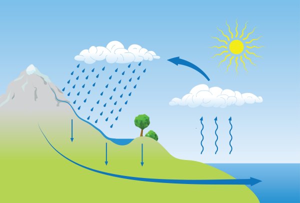 Круговорот воды в природе для детей