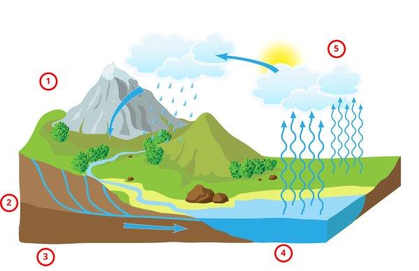 Внутриконтинентальный круговорот воды