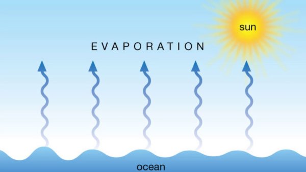 Испарение для детей