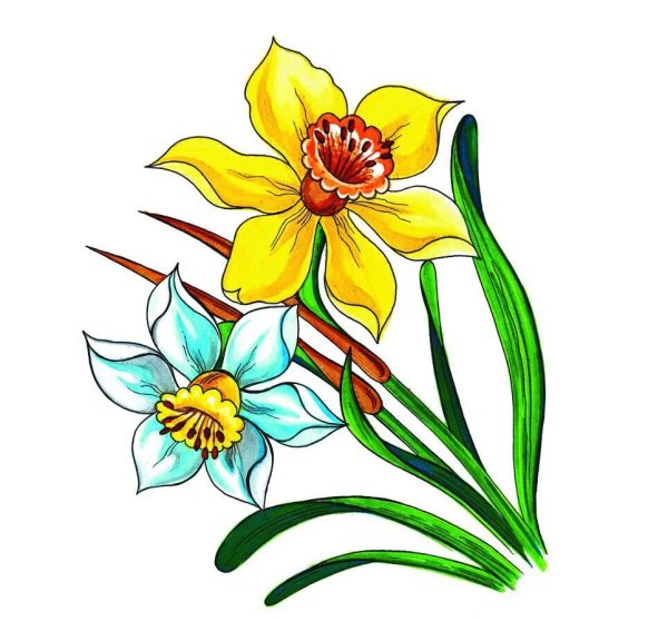 Рисунки цветов