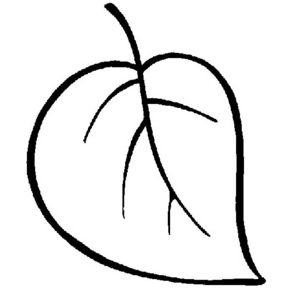 Листья раскраска для детей