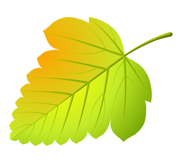 Осенние листочки