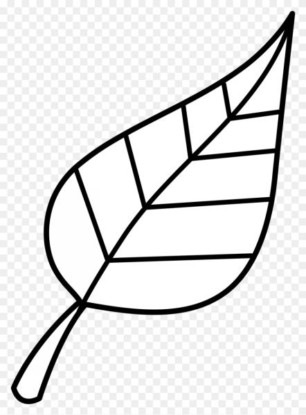 Листья черно белые