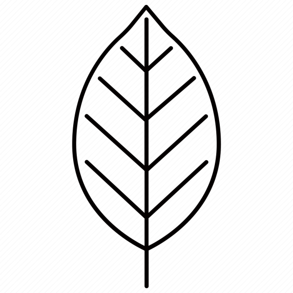 Листочки чб