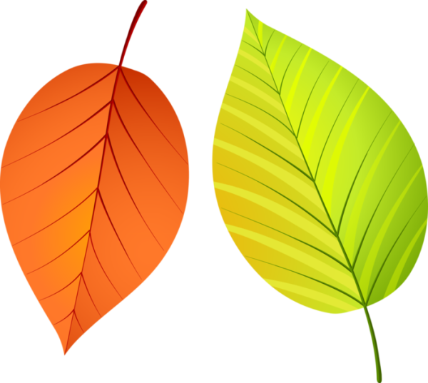 Листочки деревьев