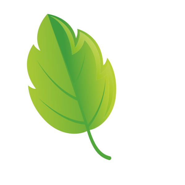 Зеленые листочки