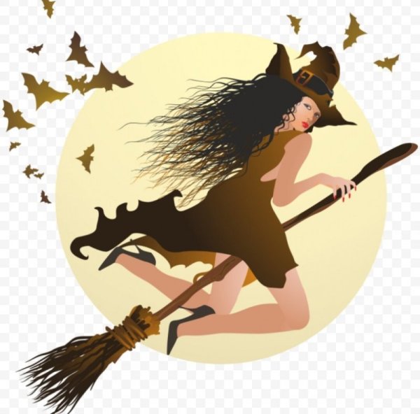 Метла ведьмы