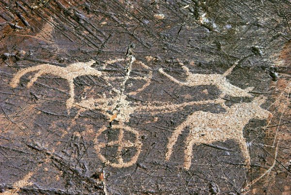 Комплекс петроглифов в монгольском Алтае