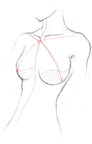 Нарисованная женская грудь