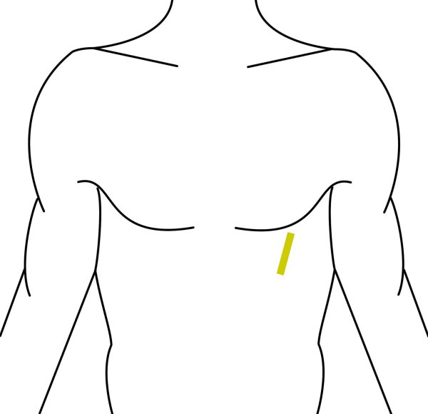 Аниме грудь референс