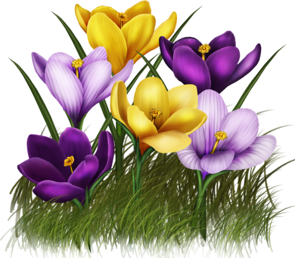 Атрибуты весны