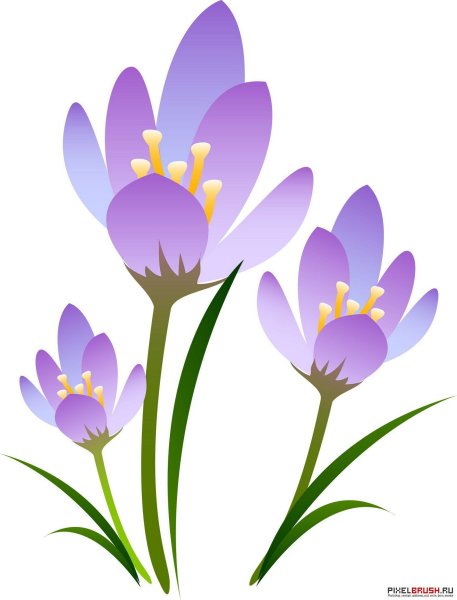 Весенние цветы детские