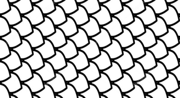 Чешуя дракона