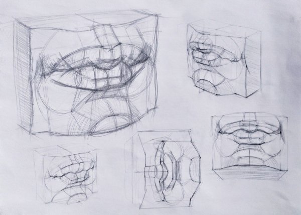 Губы Давида Академический рисунок