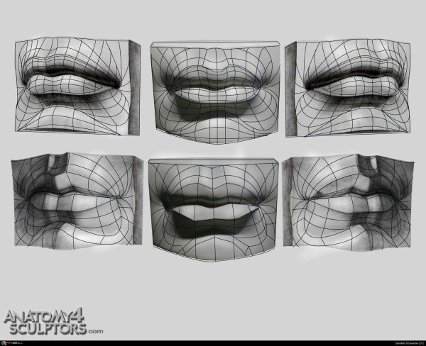 Губы Давида штриховка