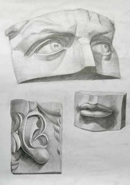 Части лица Давида