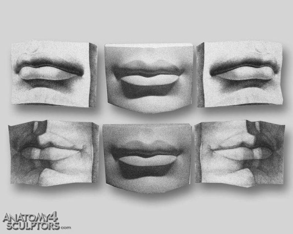 Глаза, рот и нос Давида