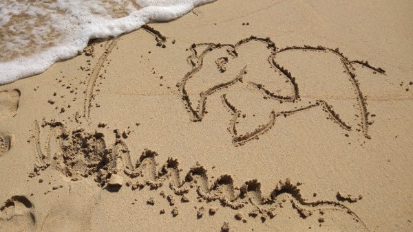 Рисование на мокром песке