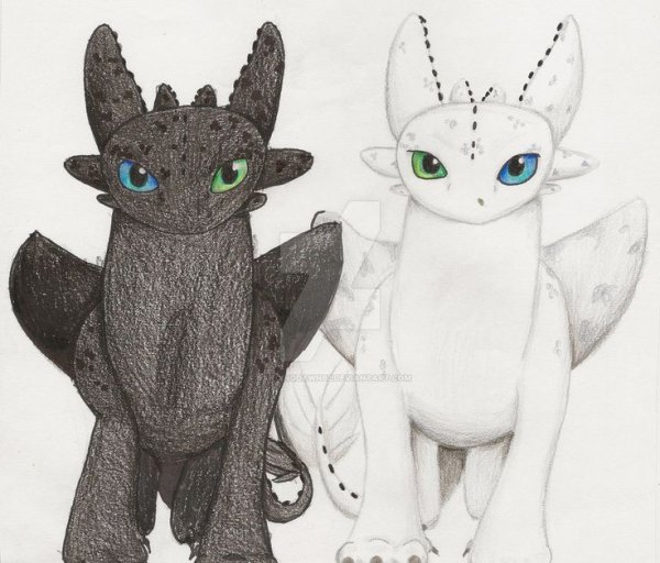 Черно белая фурия