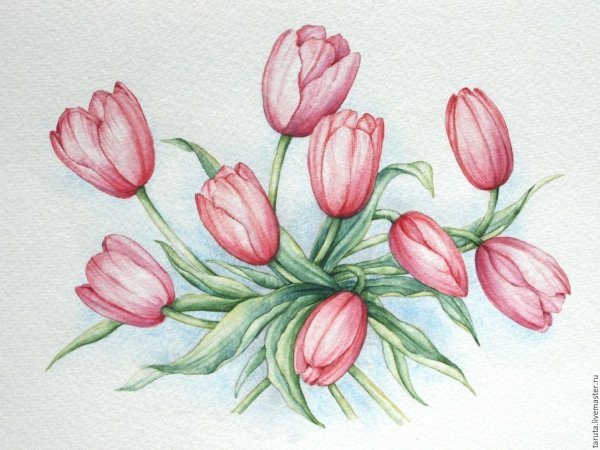 Anne Marie Patry-Belluteau акварели