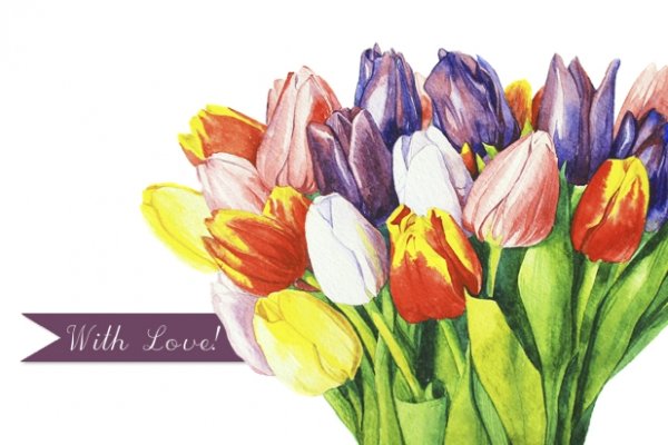 Контур букета тюльпанов сбоку