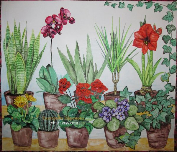Рисование комнатные цветы