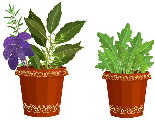 Цветок в горшке для детей