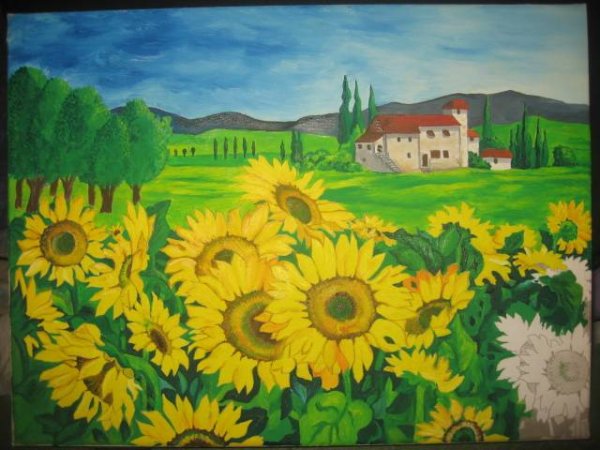 Поле с подсолнухами карандашом