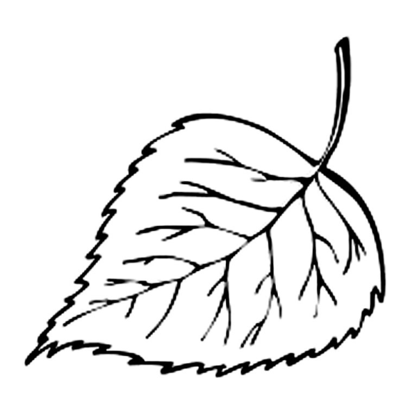 Листья раскраска