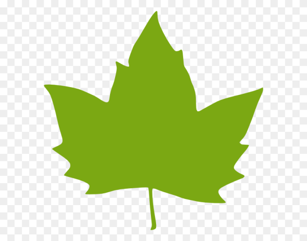 Листики деревьев