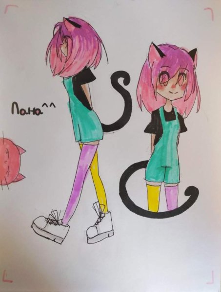 Рисунки кошки Ланы