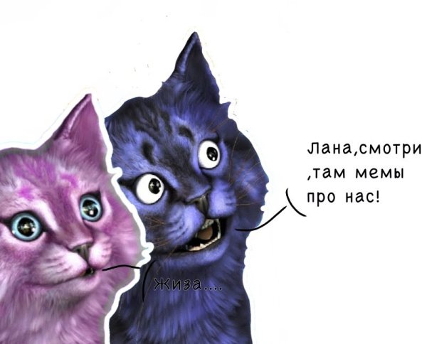 Кошка Лана и Лео