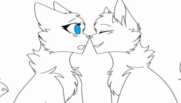 Коллаб коты Воители