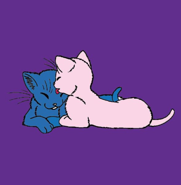 Арт кошки Ланы и Йоши шип