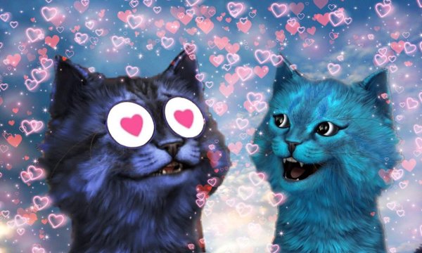 Кот леоард и КОШКАЛАНА