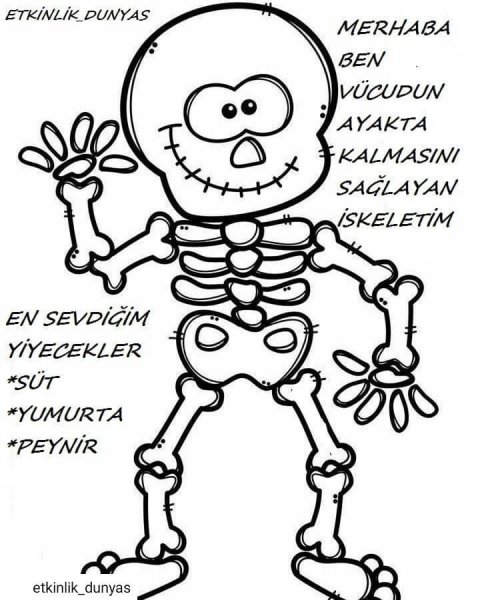 Скелет на Хэллоуин на белом фоне