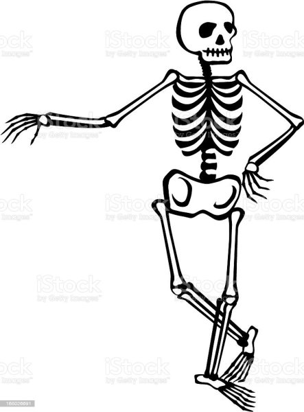 Раскраски на Хэллоуин скелет