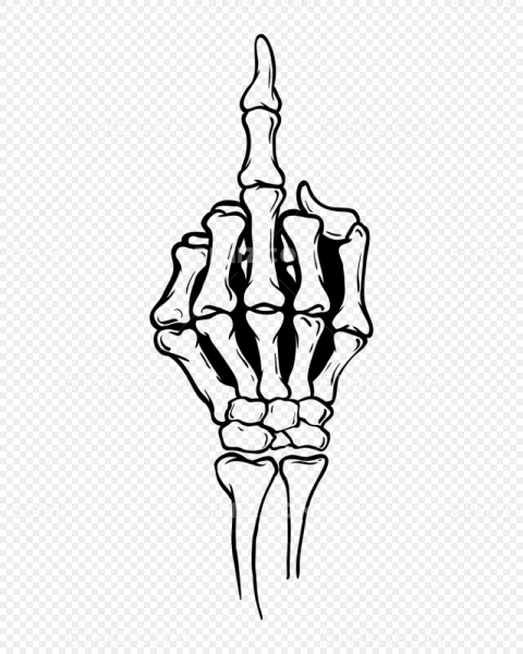 Скелет кисти