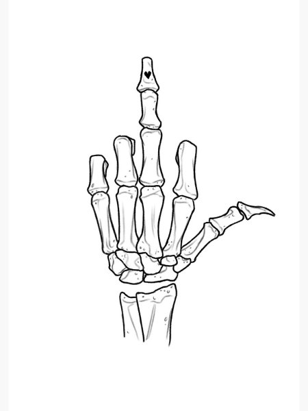 Плечевая кость Баммес