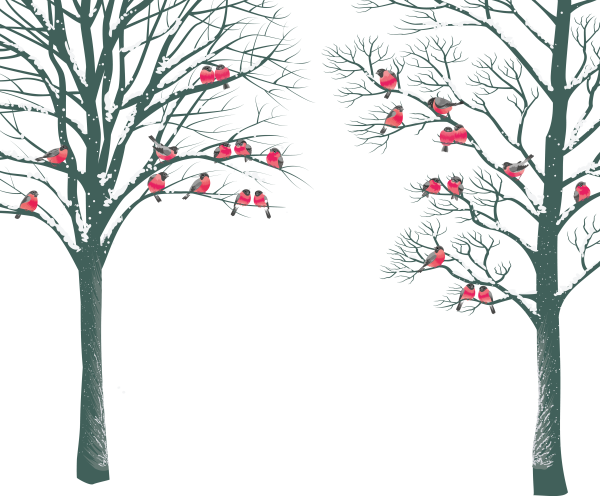 Деревья зимой для детей