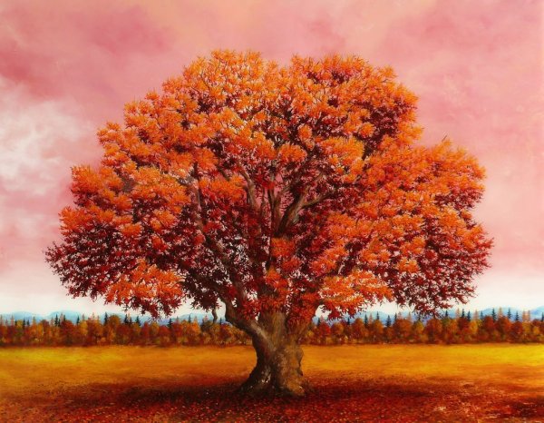 Осеннее дерево дуб