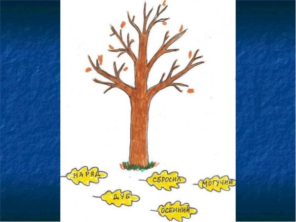 Поэтапное рисование дуба для детей