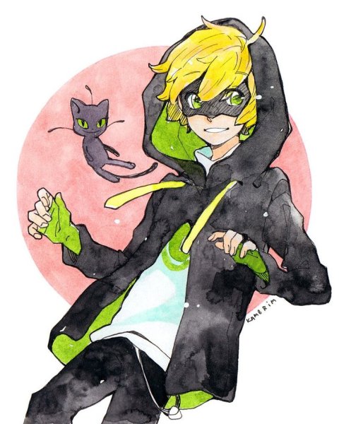 Бенжамин болен кот Нуар