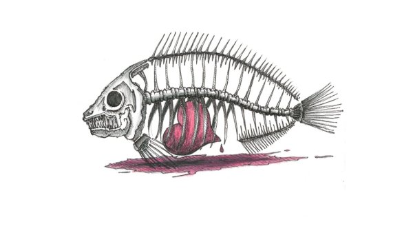 Рыбий скелет рисунок