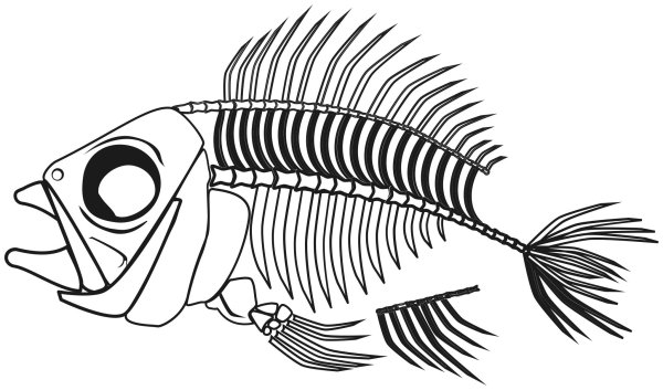 Рыбий скелет