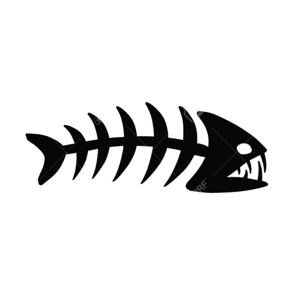 Скелет рыбы