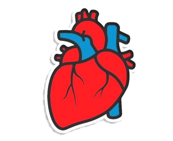 Сердце Графика