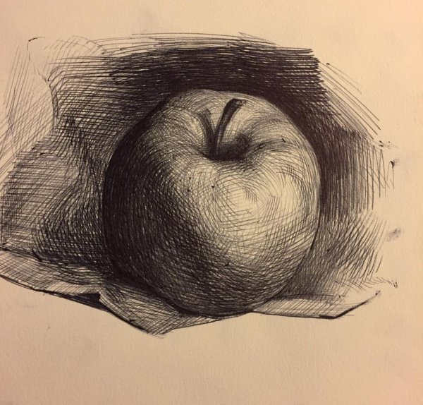 Яблоко штриховка карандашом