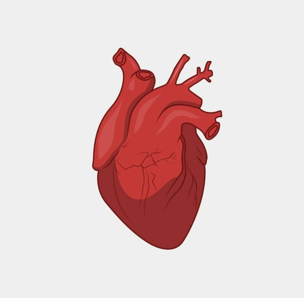 Тату человеческое сердце